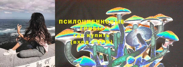 ПСИЛОЦИБИНОВЫЕ ГРИБЫ Абдулино
